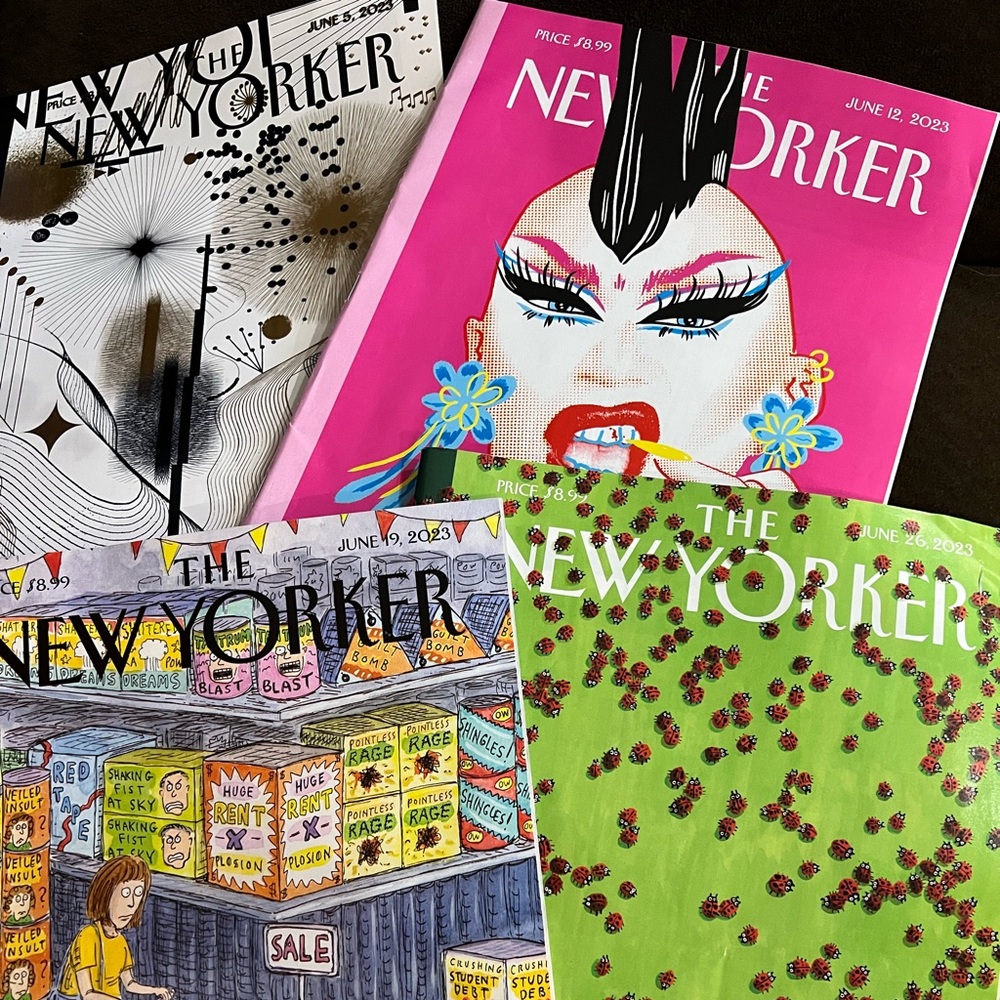 14 copies of the New Yorker magazine